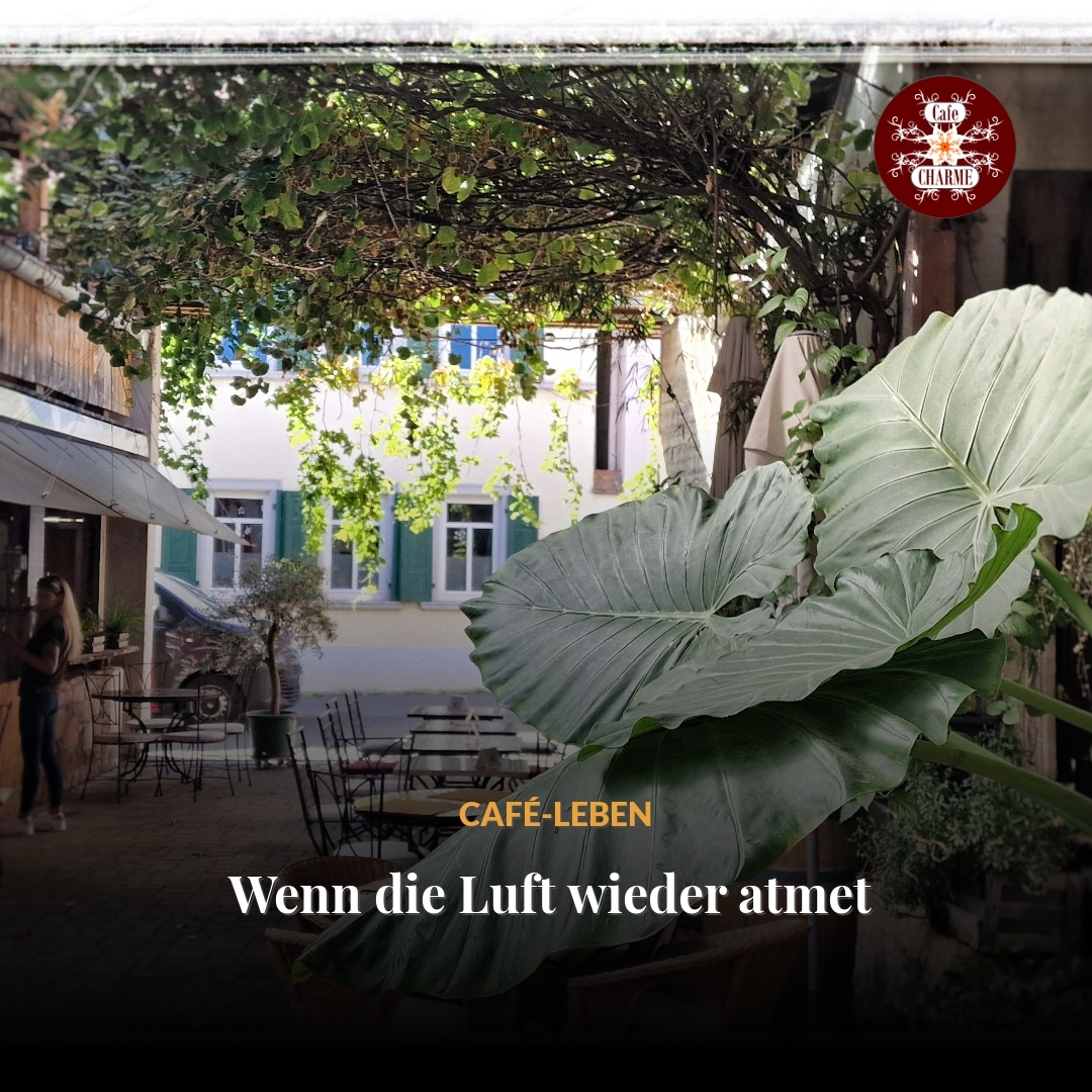 Wenn die Luft wieder atmet